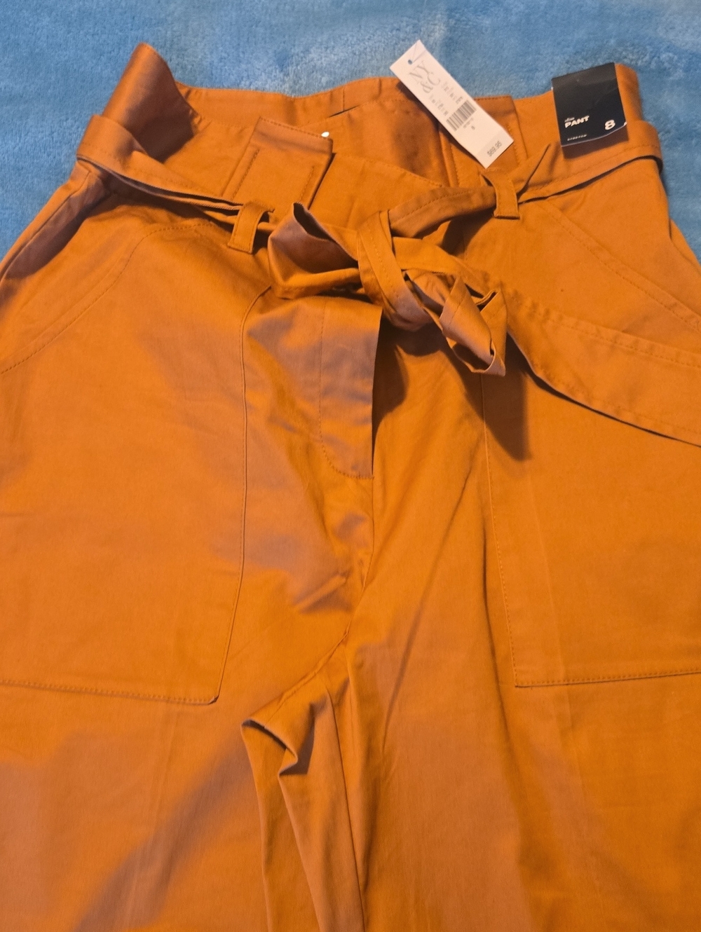 New York & Company Wide-Leg Paperbag Pants in Rust